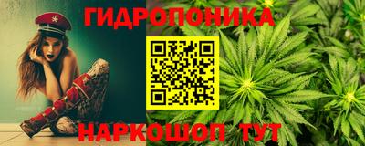 крисы Свободный